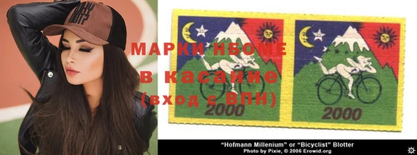 шишки Алзамай