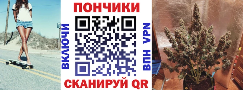 что такое   Волгодонск  Шишки марихуана сатива 